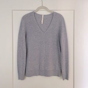 Aritzia Cashmere Blue Vneck Sweater